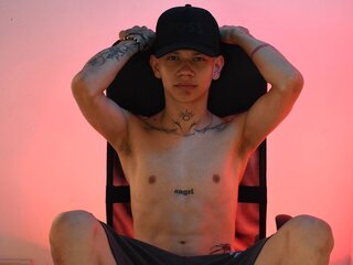 TateVogel pics free